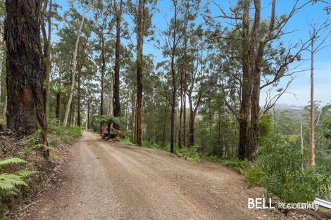 Property photo of 140 Beenak Road Gembrook VIC 3783