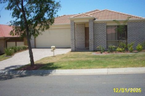 Property photo of 3 Elaine Place Birkdale QLD 4159