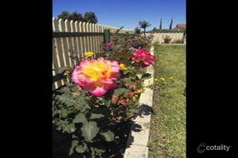 Property photo of 46 Waterlily Drive Stratton WA 6056