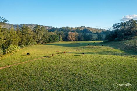 1021 South Arm Rd, South Arm, NSW 2449