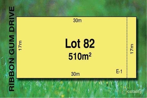 9 Ribbon Gum Dr, Tarneit, VIC 3029