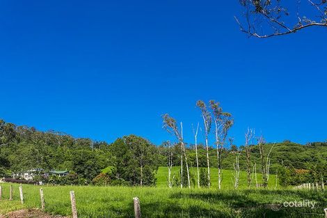 Property photo of 260 Dingo Lane Myocum NSW 2481