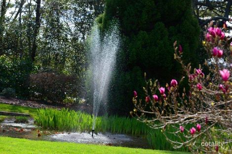 Property photo of 295 Werai Road Exeter NSW 2579