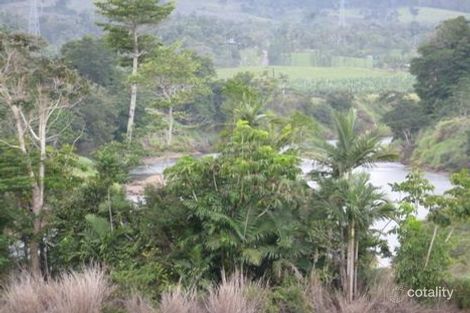 426 Palmerston Hwy, Stoters Hill, QLD 4860