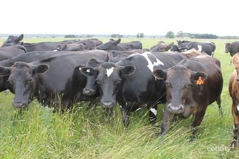 175 Swan Marsh-Stonyford Rd, Swan Marsh, VIC 3249