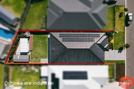 Property photo of 103 Arrowtail Street Chisholm NSW 2322