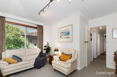 Property photo of 3/49 Ruskin Street Elwood VIC 3184