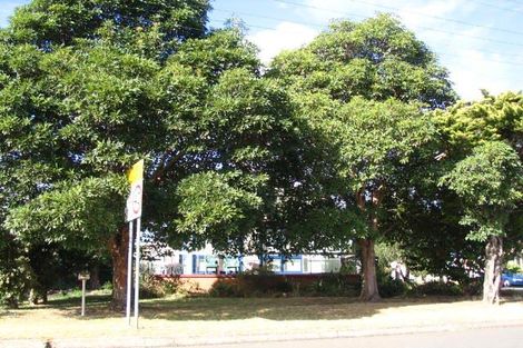 33 William Ave, Warilla, NSW 2528