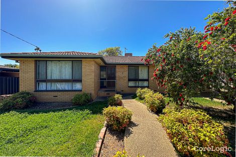 Property photo of 3 Allen Street Ashmont NSW 2650