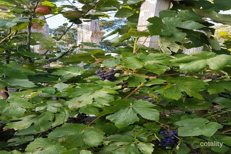 89 Wallace Rd, Cygnet, TAS 7112