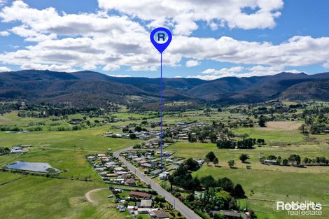 Property photo of 319 Back River Road Magra TAS 7140