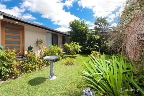 Property photo of 19 Panitz Street Bundall QLD 4217