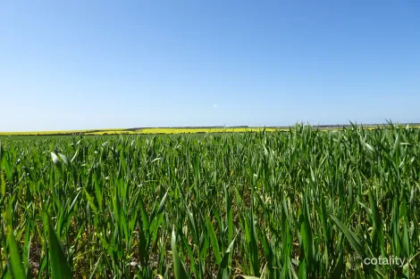 4 King Rocks Rd W, Hyden, WA 6359