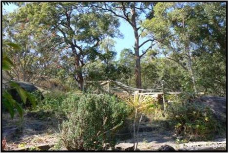 Property photo of 53-61 Vonda Youngman Drive Tamborine QLD 4270
