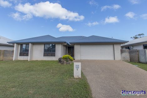 Property photo of 1 Woodhen Court Bohle Plains QLD 4817