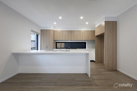 Property photo of 17 Evans Street Chadstone VIC 3148