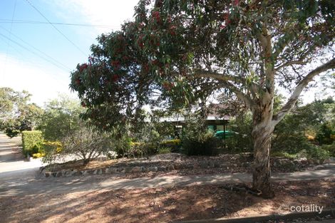 31 Albany Cres, Oaklands Park, SA 5046