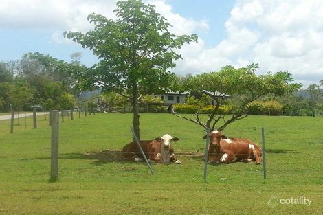 Property photo of 108 Tucker Road Riordanvale QLD 4800