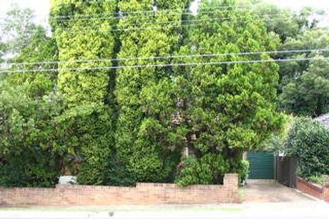 68 Rutledge St, Eastwood, NSW 2122