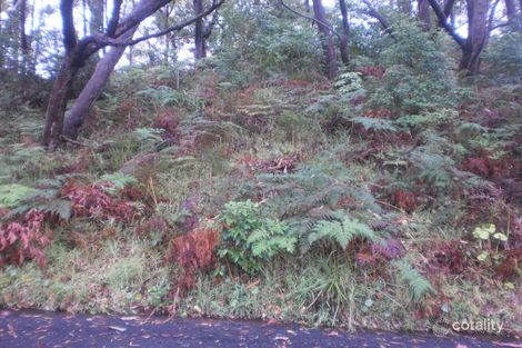 25 James Scott Cres, Lemon Tree Passage, NSW 2319