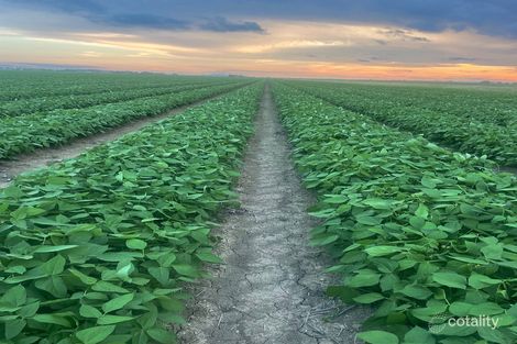 32644 Bruce Hwy, Horseshoe Lagoon, QLD 4809