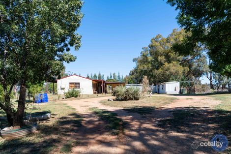 Property photo of 11 Maloneys Road Murringo NSW 2586