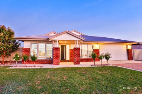 Property photo of 6 Habitat Court Irymple VIC 3498