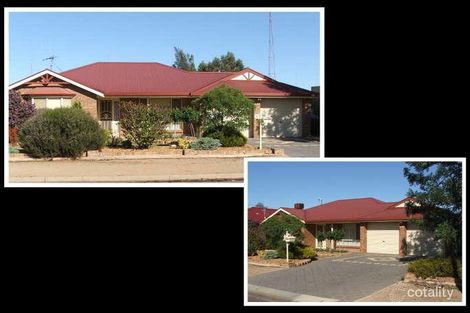 20 Golding St, Risdon Park, SA 5540