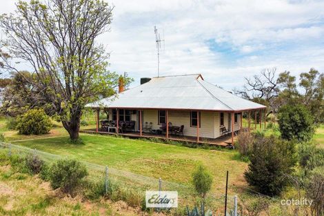 392 Millers Tank Rd, Manangatang, VIC 3546