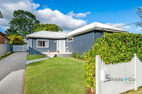 12 ROSE AVE, GLENDALE, NSW 2285