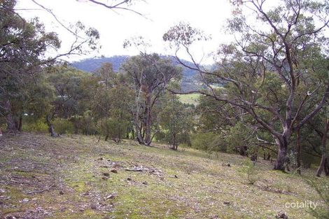 Property photo of 199 Ti Tree Drive Eildon VIC 3713