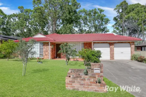 Property photo of 20 Dryberry Avenue St Clair NSW 2759