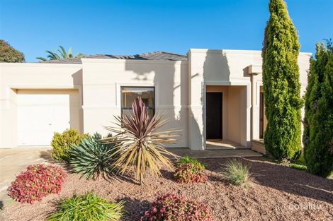 1d Morris St, Glenelg North, SA 5045