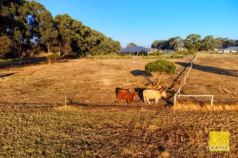 Property photo of 42 Ajana Drive Marbelup WA 6330