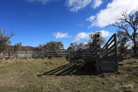 Property photo of 1917 Limestone Road Benambra VIC 3900