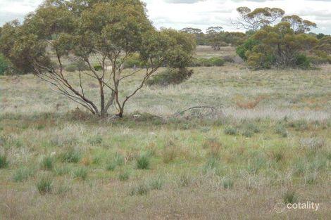 Lot 11 Greenshields Rd, Younghusband, SA 5238