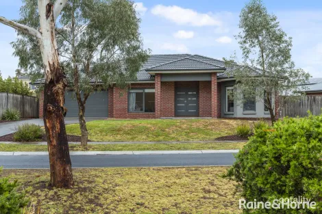 Property photo of 35 Jersey Drive Sunbury VIC 3429