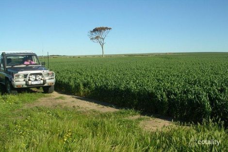 1932 Pingrup-Lake Grace Rd, Pingrup, WA 6343