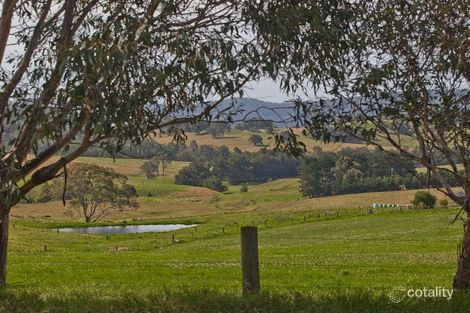 224 Coolagolite Rd, Coolagolite, NSW 2550