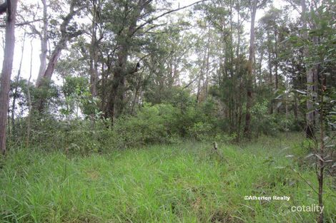 Property photo of LOT 266 Springvale Road Wondecla QLD 4887
