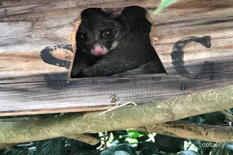 Property photo of 16 Wunda Street Dromana VIC 3936