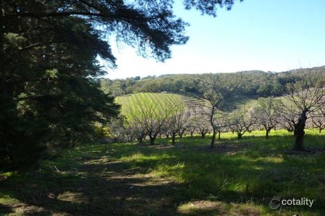 Property photo of 96 Nicholls Road Norton Summit SA 5136
