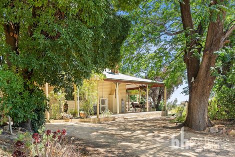 Property photo of 39 Fuller Road Berri SA 5343