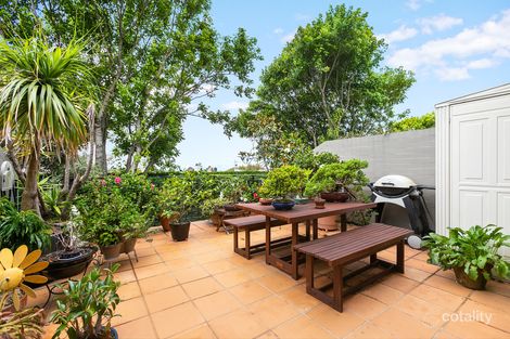 Property photo of 15 Hough Street Bondi Junction NSW 2022