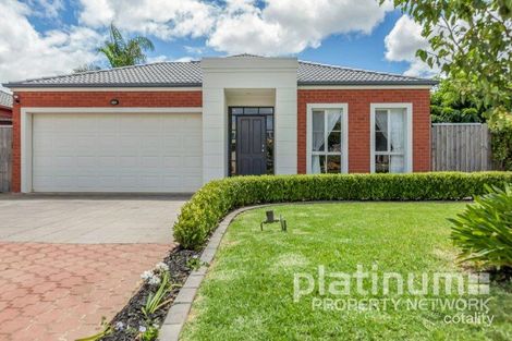Property photo of 11 Heathcote Avenue Northgate SA 5085