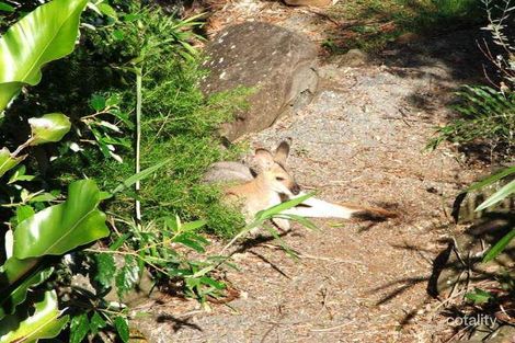 Property photo of 4 Prunus Court Beechmont QLD 4211