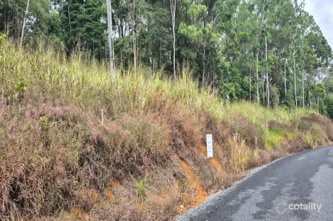 Property photo of 937 Euluma Creek Road Julatten QLD 4871
