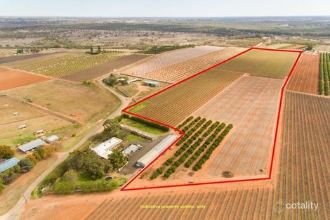 344 Bernarra Rd, Coomealla, NSW 2717