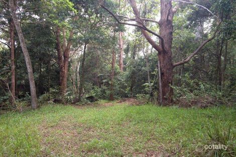 Property photo of 652 Wallace Road Terania Creek NSW 2480