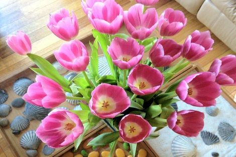 108 Berowra Waters Rd, Berowra Heights, NSW 2082